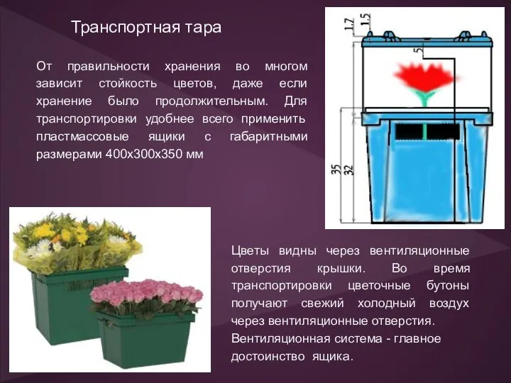 Транспортная тара От правильности хранения во многом зависит стойкость цветов, даже