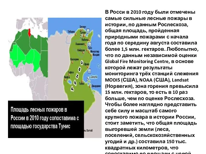 В Росси в 2010 году были отмечены самые сильные лесные пожары