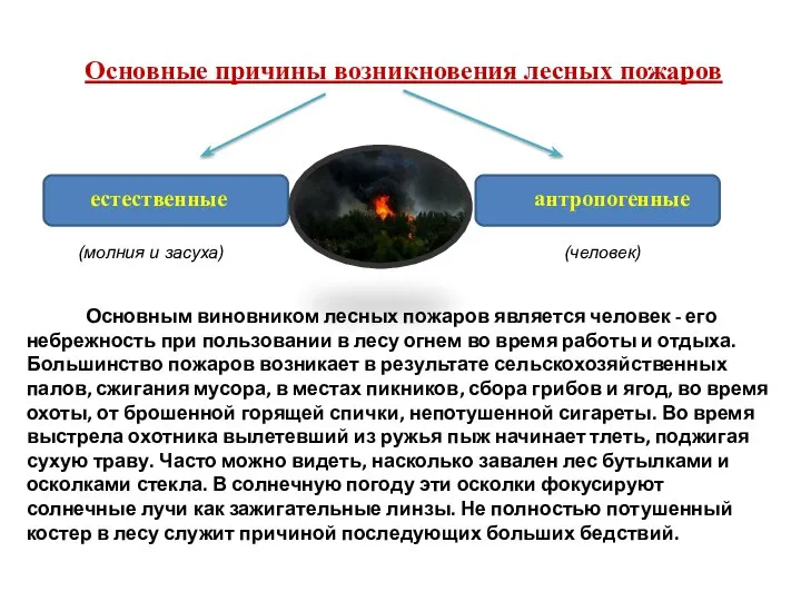 естественные антропогенные (человек) (молния и засуха) Основным виновником лесных пожаров является