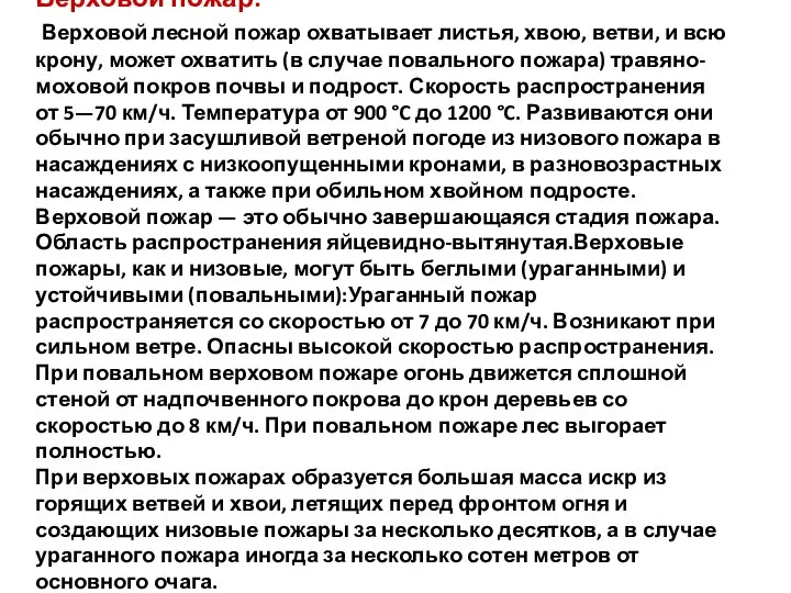 Верховой пожар: Верховой лесной пожар охватывает листья, хвою, ветви, и всю