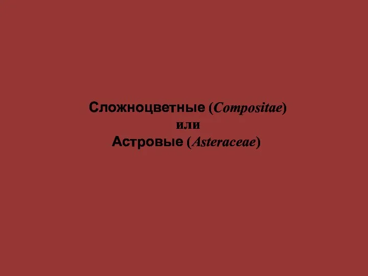 Сложноцветные (Compositae) или Астровые (Asteraceae)