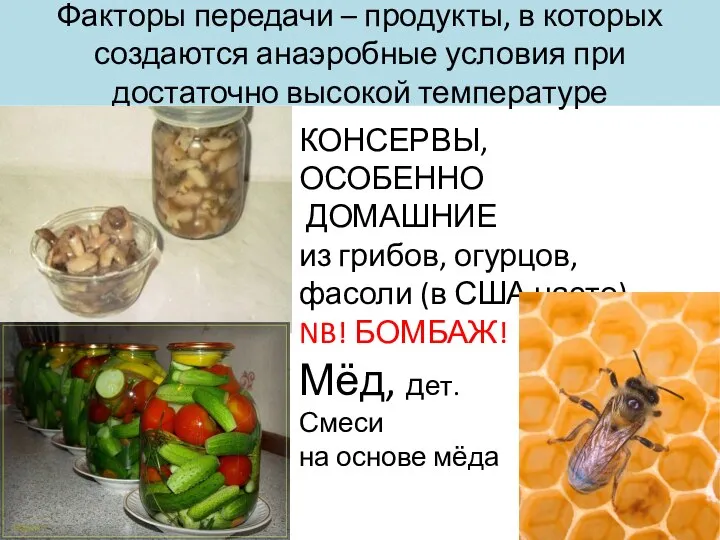 Факторы передачи – продукты, в которых создаются анаэробные условия при достаточно