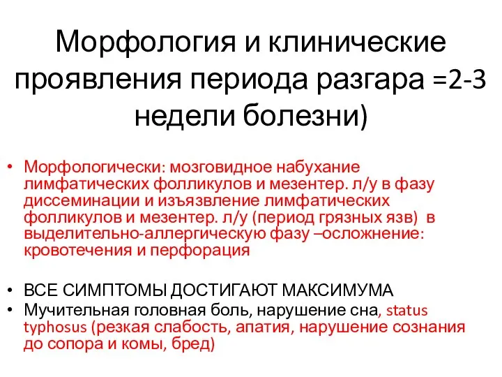 Морфология и клинические проявления периода разгара =2-3 недели болезни) Морфологически: мозговидное