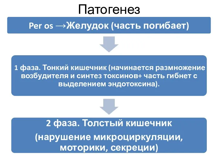 Патогенез