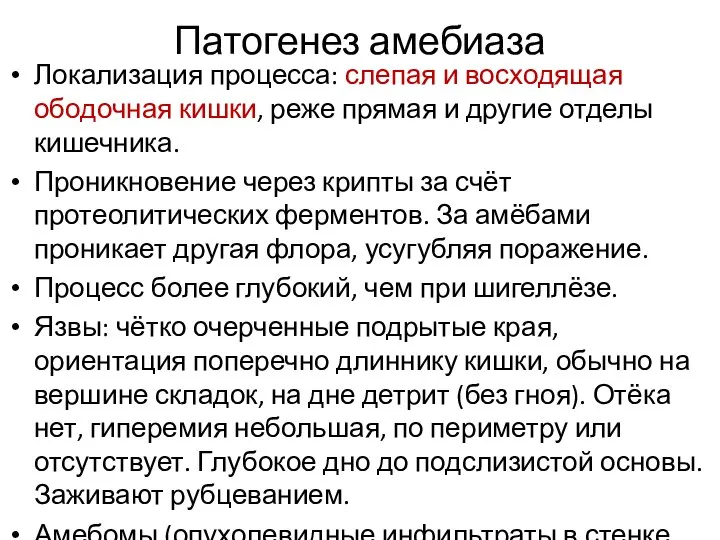 Патогенез амебиаза Локализация процесса: слепая и восходящая ободочная кишки, реже прямая