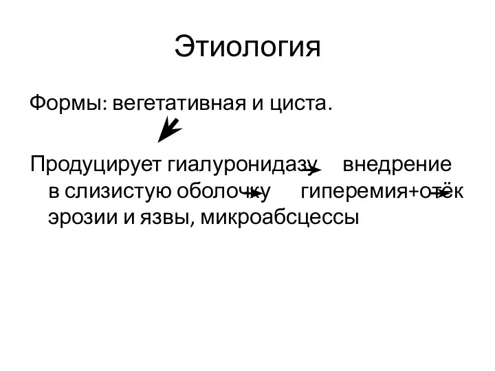 Этиология Формы: вегетативная и циста. Продуцирует гиалуронидазу внедрение в слизистую оболочку гиперемия+отёк эрозии и язвы, микроабсцессы