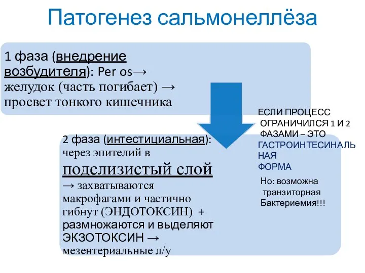 Патогенез сальмонеллёза ЕСЛИ ПРОЦЕСС ОГРАНИЧИЛСЯ 1 И 2 ФАЗАМИ – ЭТО