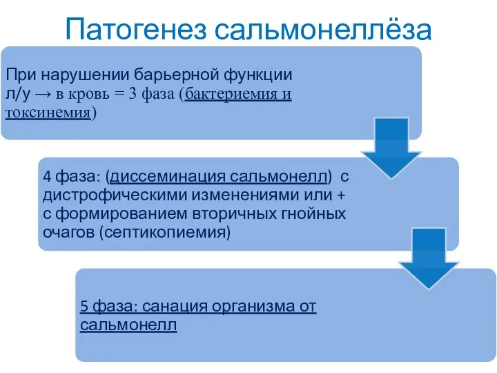 Патогенез сальмонеллёза