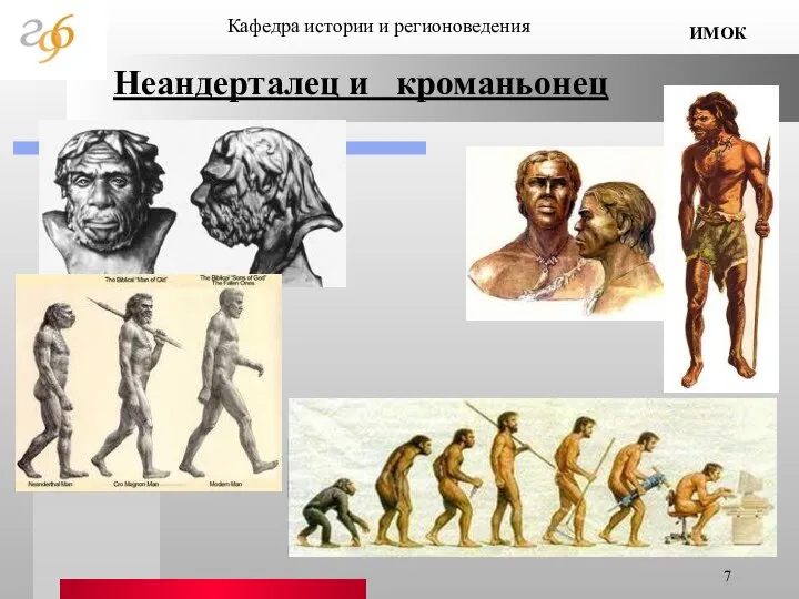 ИМОК Кафедра истории и регионоведения Неандерталец и кроманьонец