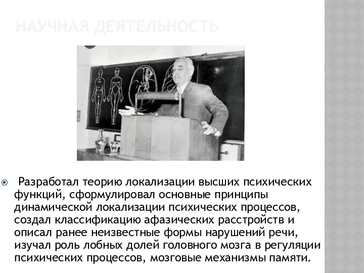 Разработал теорию локализации высших психических функций, сформулировал основные принципы динамической локализации