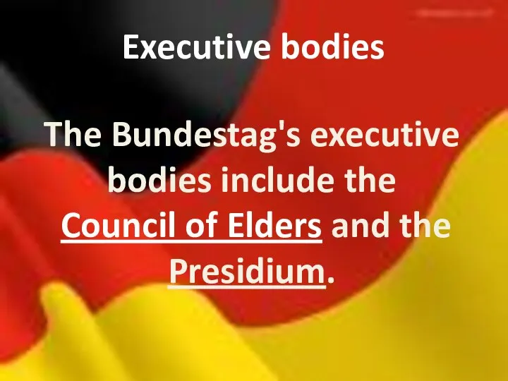 Executive bodies The Bundestag's executive bodies include the Council of Elders and the Presidium.