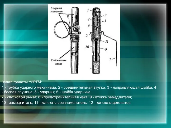 Запал гранаты УЗРГМ: 1 - трубка ударного механизма; 2 - соединительная