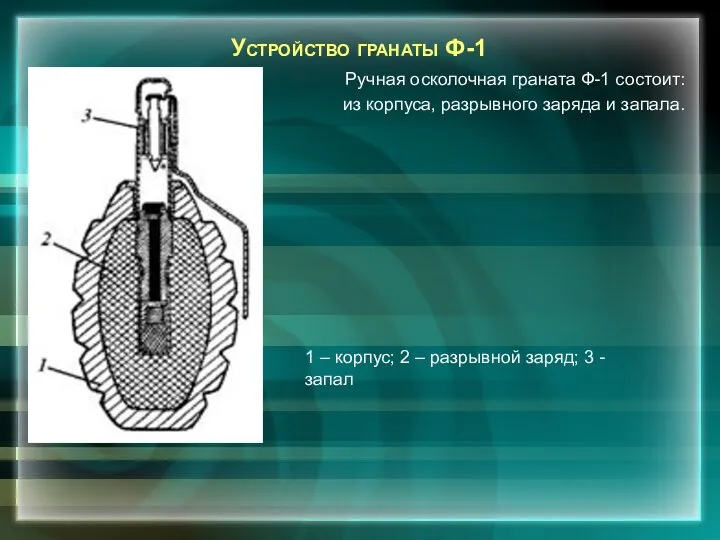 Устройство гранаты Ф-1 Ручная осколочная граната Ф-1 состоит: из корпуса, разрывного