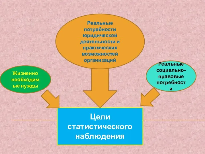 Цели статистического наблюдения Реальные потребности юридической деятельности и практических возможностей организаций