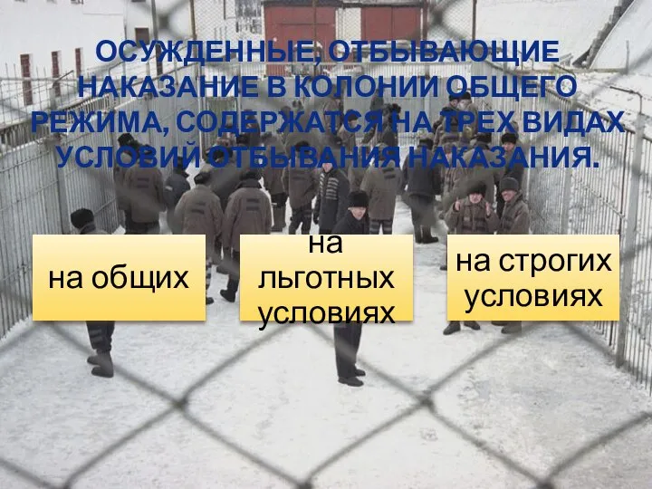 ОСУЖДЕННЫЕ, ОТБЫВАЮЩИЕ НАКАЗАНИЕ В КОЛОНИИ ОБЩЕГО РЕЖИМА, СОДЕРЖАТСЯ НА ТРЕХ ВИДАХ УСЛОВИЙ ОТБЫВАНИЯ НАКАЗАНИЯ.