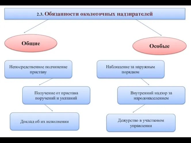 2.3. Обязанности околоточных надзирателей Общие Особые Непосредственное подчинение приставу Получение от