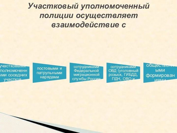 участковыми уполномоченными соседних участков постовыми и патрульными нарядами сотрудниками Федеральной миграционной