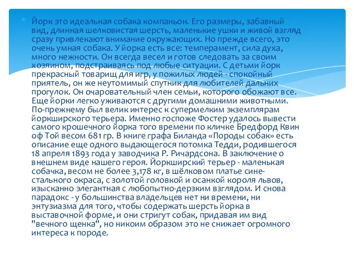 Йорк это идеальная собака компаньон. Его размеры, забавный вид, длинная шелковистая