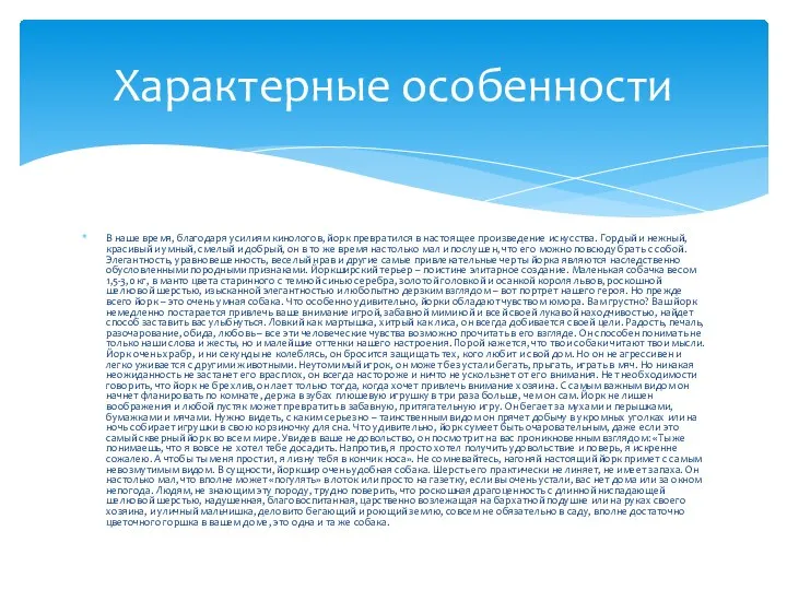 В наше время, благодаря усилиям кинологов, йорк превратился в настоящее произведение