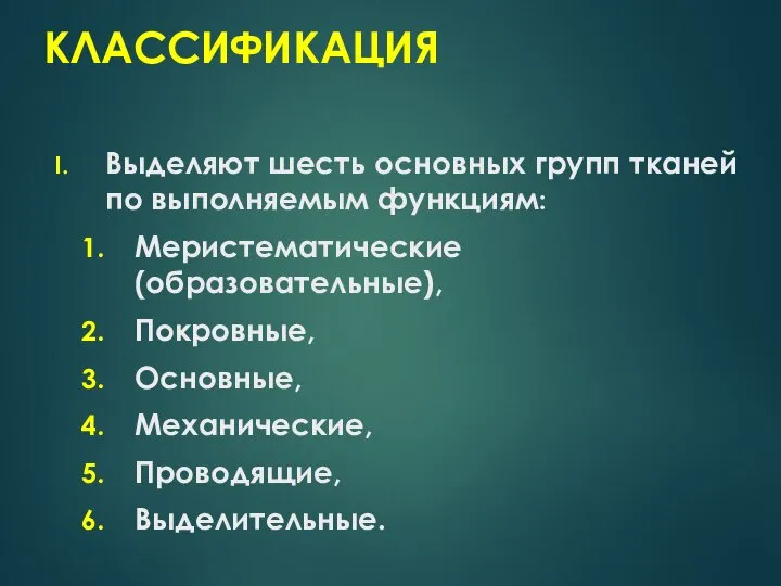 КЛАССИФИКАЦИЯ Выделяют шесть основных групп тканей по выполняемым функциям: Меристематические (образовательные), Покровные, Основные, Механические, Проводящие, Выделительные.