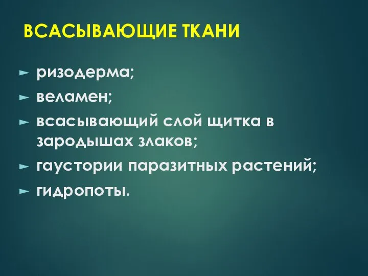 ВСАСЫВАЮЩИЕ ТКАНИ ризодерма; веламен; всасывающий слой щитка в зародышах злаков; гаустории паразитных растений; гидропоты.