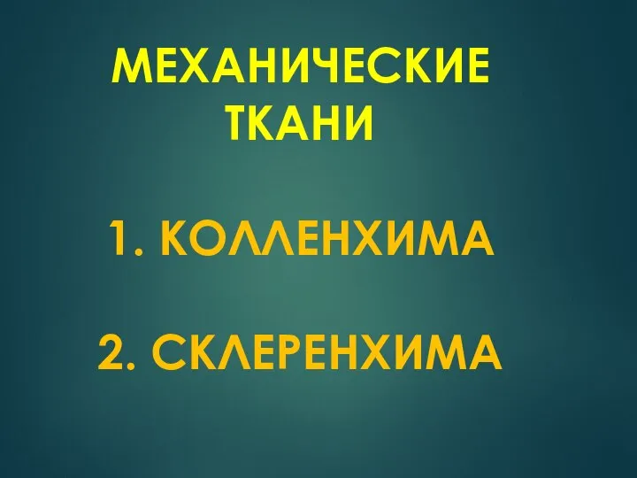 МЕХАНИЧЕСКИЕ ТКАНИ 1. КОЛЛЕНХИМА 2. СКЛЕРЕНХИМА