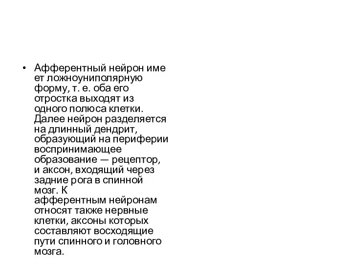 Афферентный нейрон имеет ложноуниполярную форму, т. е. оба его отростка выходят