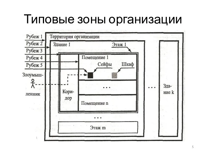 Типовые зоны организации