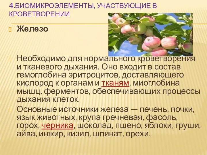 4.БИОМИКРОЭЛЕМЕНТЫ, УЧАСТВУЮЩИЕ В КРОВЕТВОРЕНИИ Железо Необходимо для нормального кроветворения и тканевого