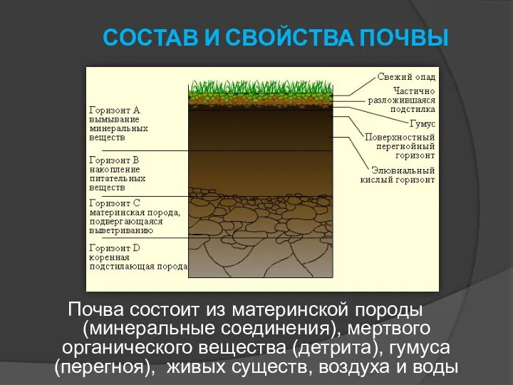 СОСТАВ И СВОЙСТВА ПОЧВЫ Почва состоит из материнской породы (минеральные соединения),