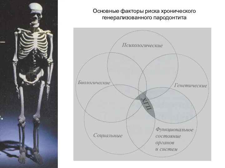 Основные факторы риска хронического генерализованного пародонтита