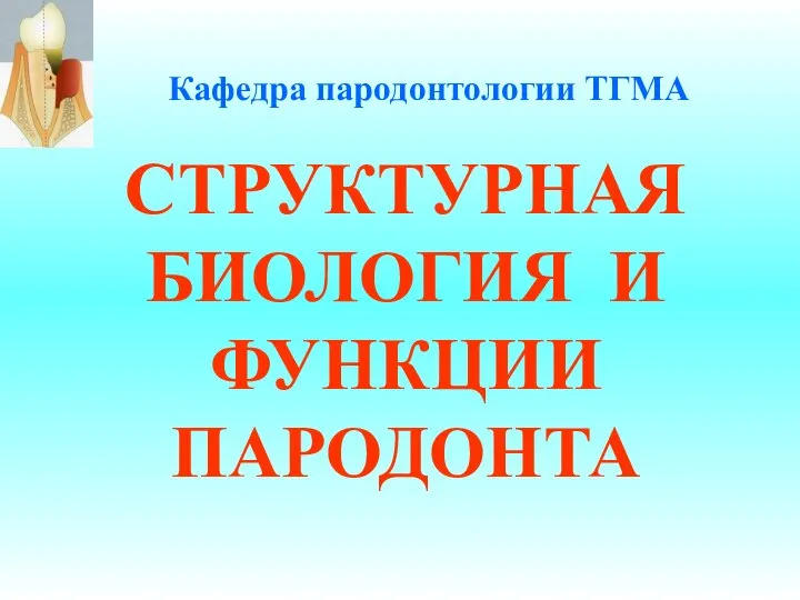 СТРУКТУРНАЯ БИОЛОГИЯ И ФУНКЦИИ ПАРОДОНТА Кафедра пародонтологии ТГМА