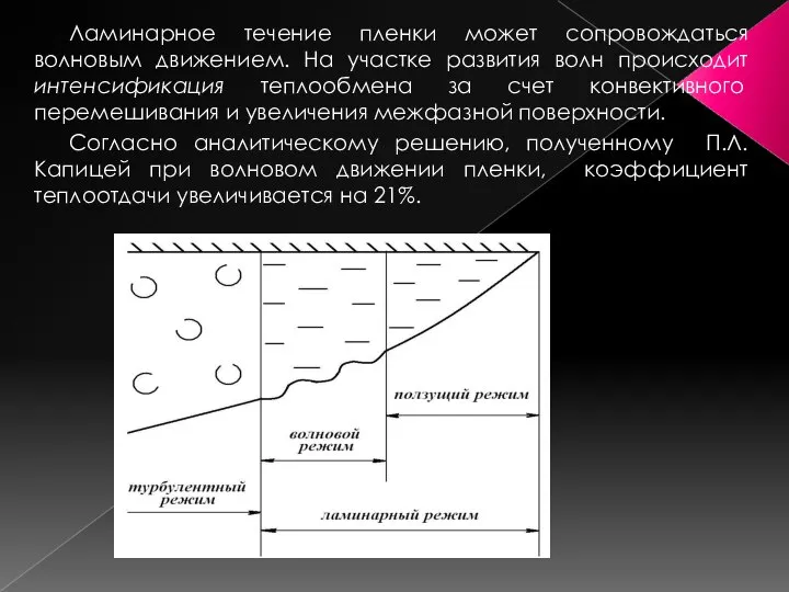 Ламинарное течение пленки может сопровождаться волновым движением. На участке развития волн