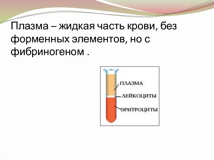 Плазма – жидкая часть крови, без форменных элементов, но с фибриногеном .