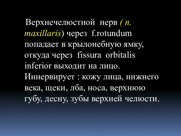 Верхнечелюстной нерв ( n. maxillaris) через f.rotundum попадает в крылонебную ямку,