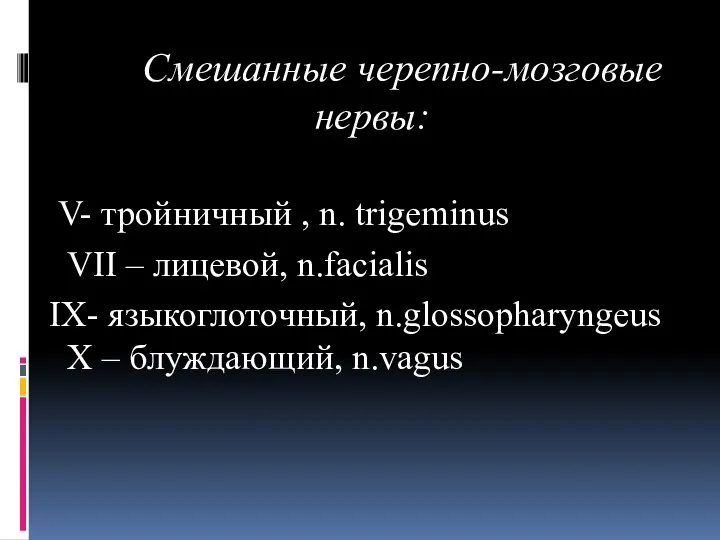 Смешанные черепно-мозговые нервы: V- тройничный , n. trigeminus VII – лицевой,