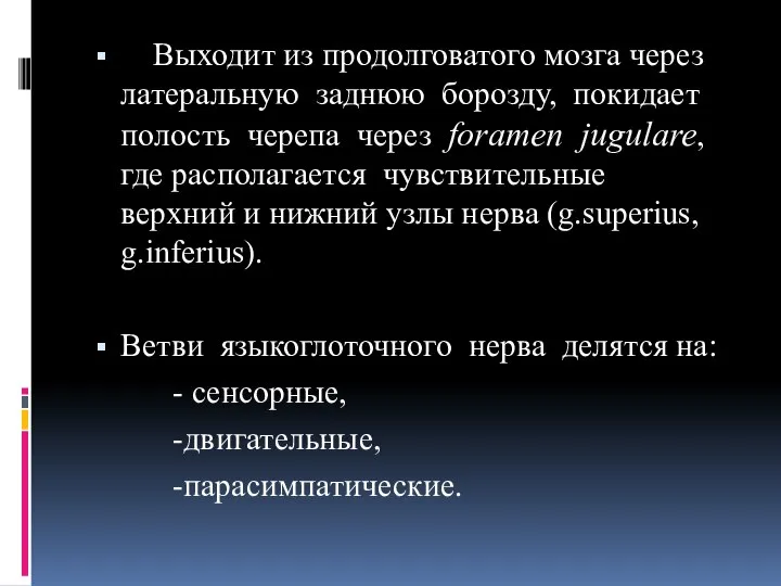 Выходит из продолговатого мозга через латеральную заднюю борозду, покидает полость черепа