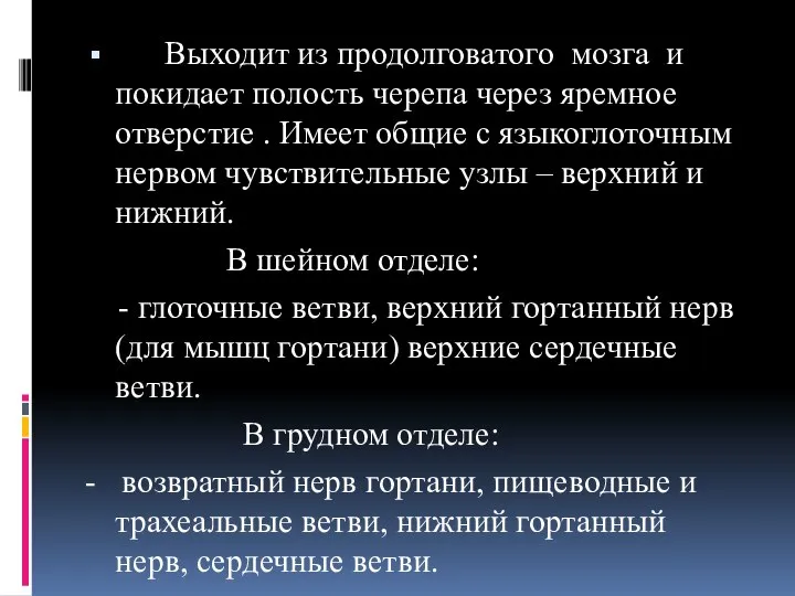 Выходит из продолговатого мозга и покидает полость черепа через яремное отверстие