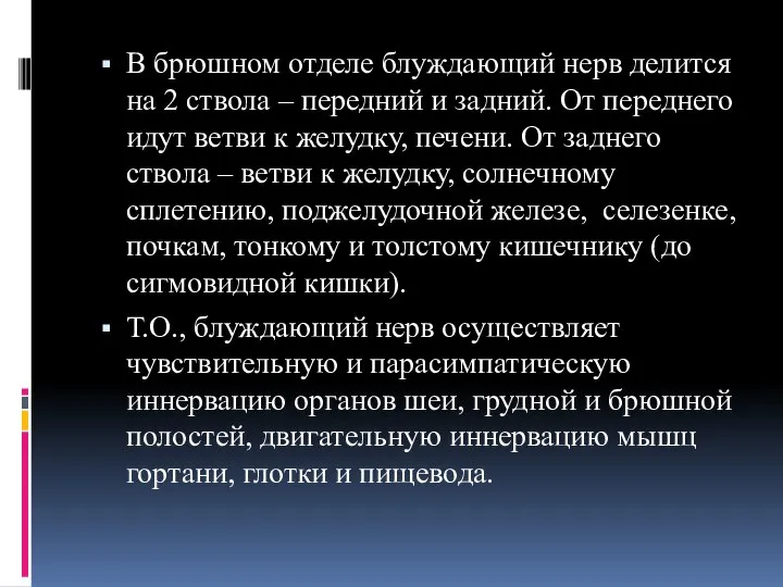 В брюшном отделе блуждающий нерв делится на 2 ствола – передний