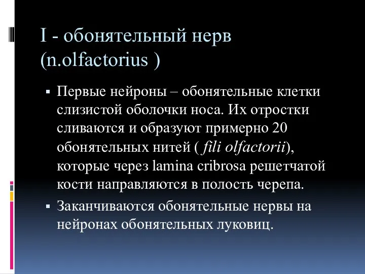 I - обонятельный нерв (n.olfactorius ) Первые нейроны – обонятельные клетки