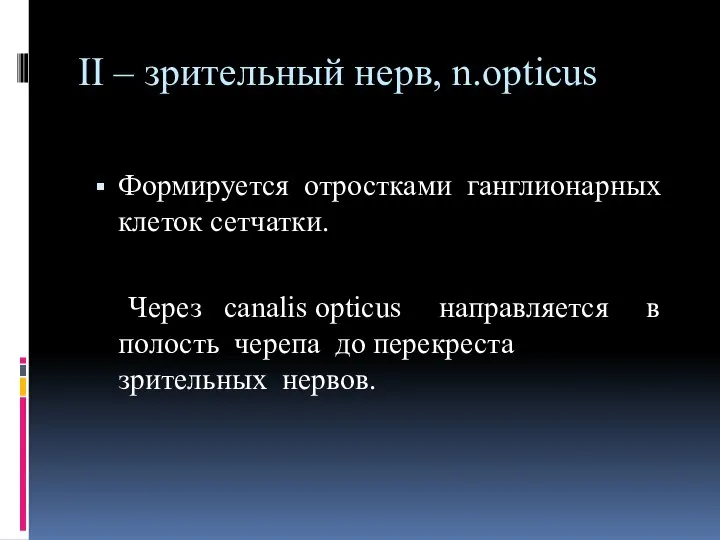 II – зрительный нерв, n.opticus Формируется отростками ганглионарных клеток сетчатки. Через