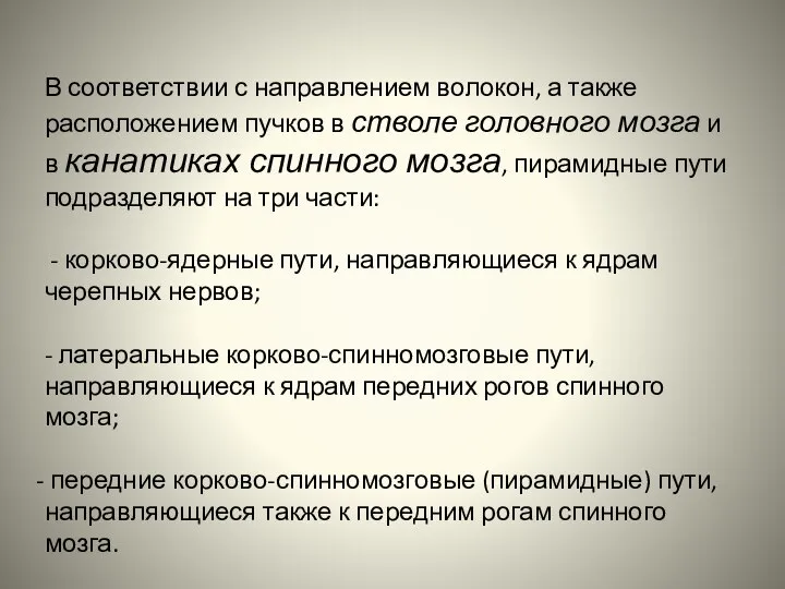 В соответствии с направлением волокон, а также расположением пучков в стволе