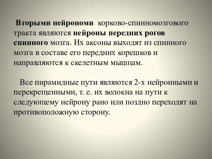 Вторыми нейрономи корково-спинномозгового тракта являются нейроны передних рогов спинного мозга. Их