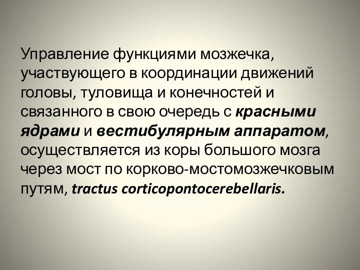 Управление функциями мозжечка, участвующего в координации движений головы, туловища и конечностей