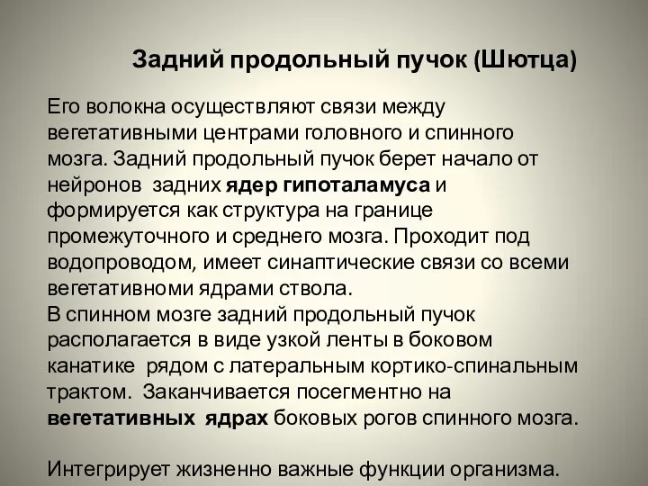 Задний продольный пучок (Шютца) Его волокна осуществляют связи между вегетативными центрами