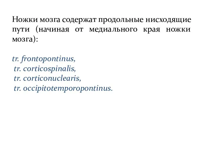 Ножки мозга содержат продольные нисходящие пути (начиная от медиального края ножки