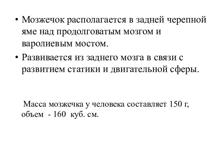 Мозжечок располагается в задней черепной яме над продолговатым мозгом и варолиевым