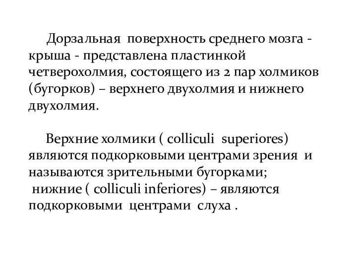 Дорзальная поверхность среднего мозга - крыша - представлена пластинкой четверохолмия, состоящего