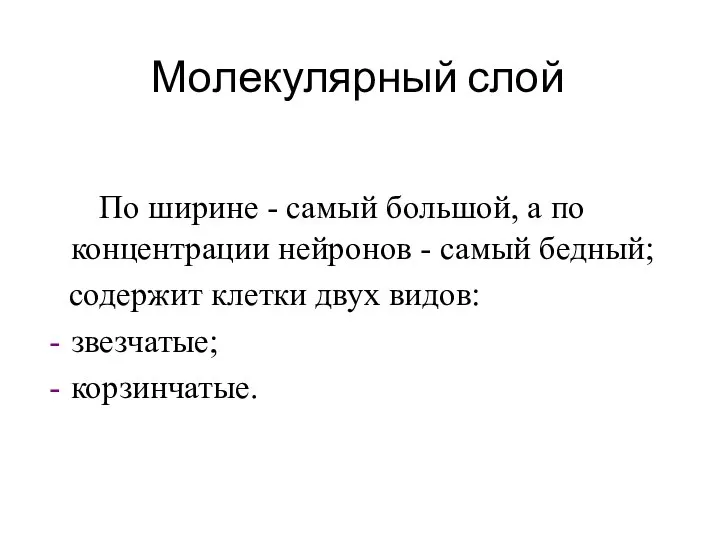 Молекулярный слой По ширине - самый большой, а по концентрации нейронов