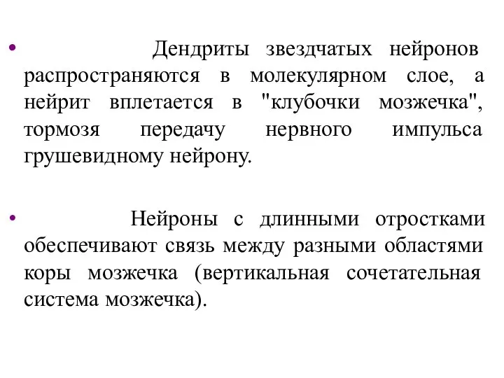 Дендриты звездчатых нейронов распространяются в молекулярном слое, а нейрит вплетается в